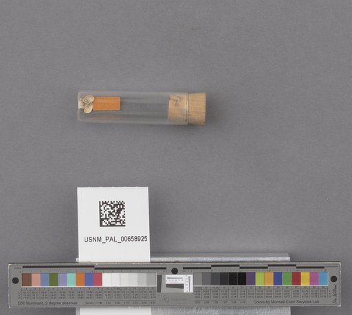 NSF ADBC EPICC TCN