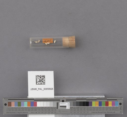 NSF ADBC EPICC TCN