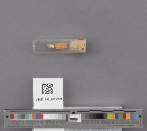 NSF ADBC EPICC TCN