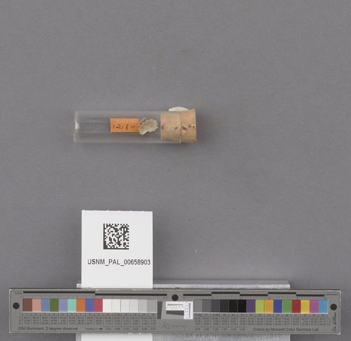 NSF ADBC EPICC TCN