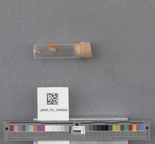 NSF ADBC EPICC TCN