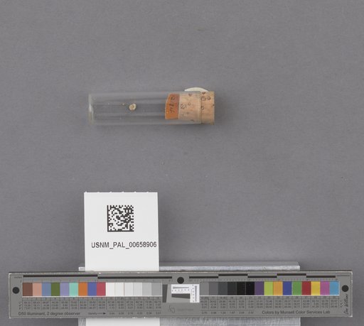 NSF ADBC EPICC TCN