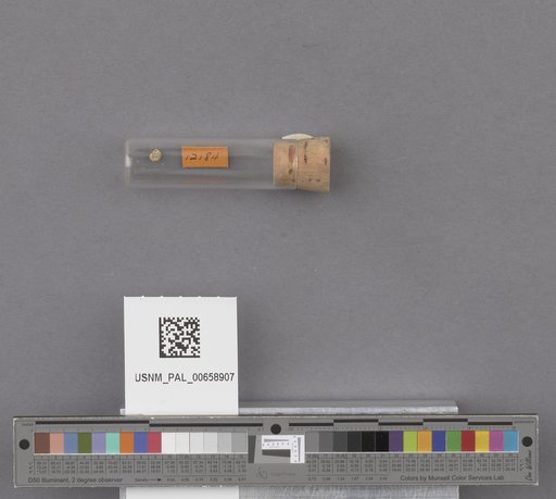 NSF ADBC EPICC TCN