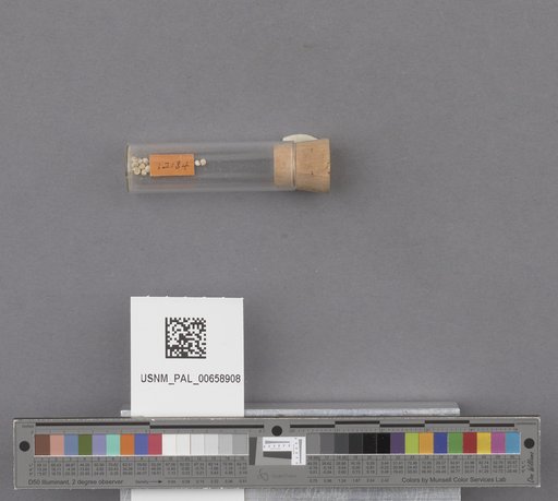 NSF ADBC EPICC TCN