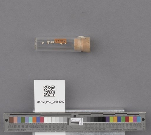 NSF ADBC EPICC TCN