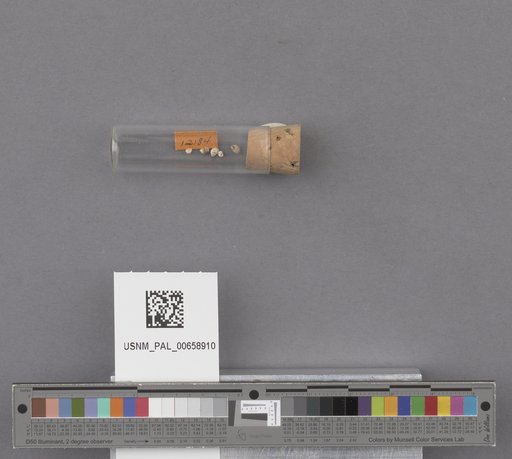 NSF ADBC EPICC TCN