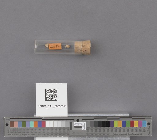 NSF ADBC EPICC TCN