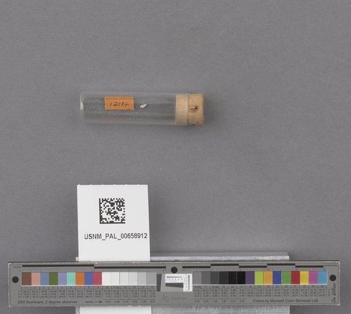 NSF ADBC EPICC TCN