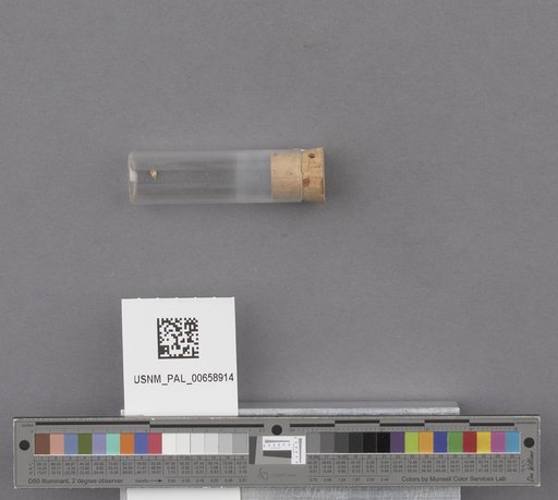 NSF ADBC EPICC TCN