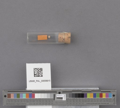 NSF ADBC EPICC TCN