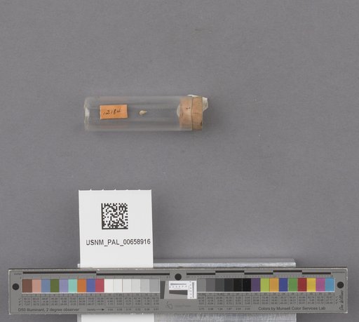 NSF ADBC EPICC TCN