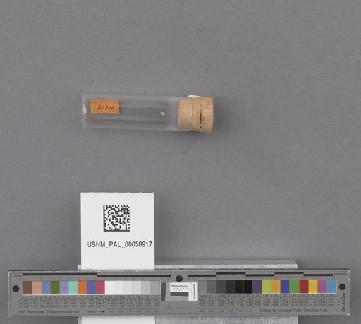 NSF ADBC EPICC TCN