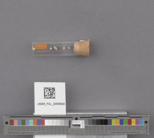 NSF ADBC EPICC TCN