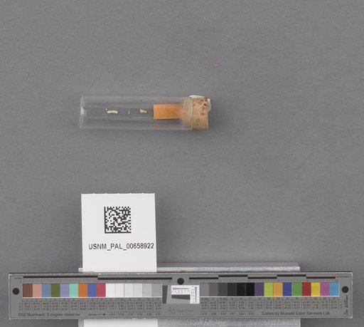 NSF ADBC EPICC TCN