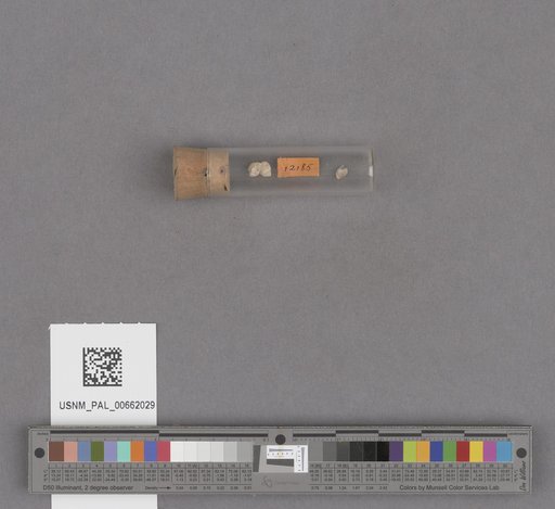 NSF ADBC EPICC TCN