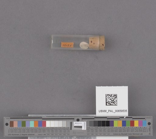 NSF ADBC EPICC TCN