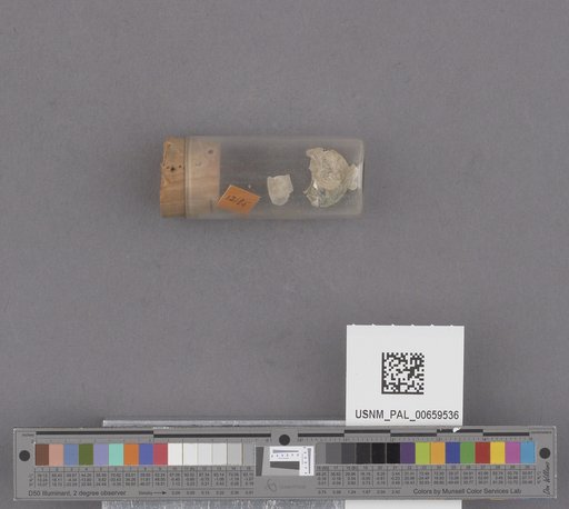 NSF ADBC EPICC TCN