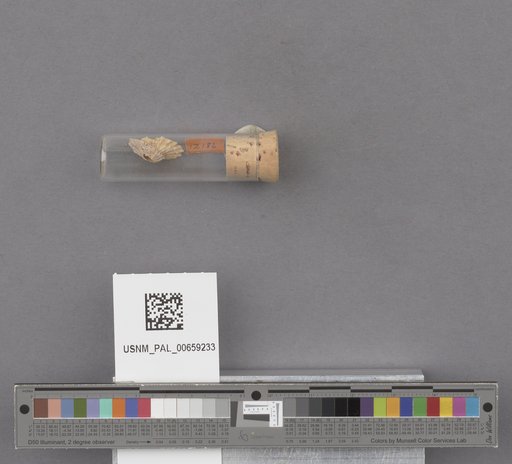 NSF ADBC EPICC TCN