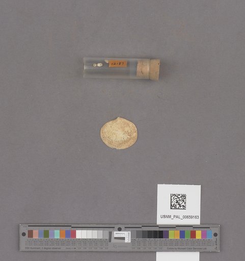 NSF ADBC EPICC TCN