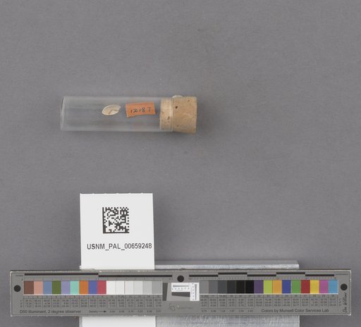 NSF ADBC EPICC TCN