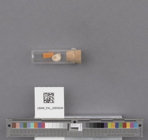 NSF ADBC EPICC TCN