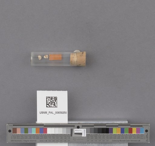 NSF ADBC EPICC TCN