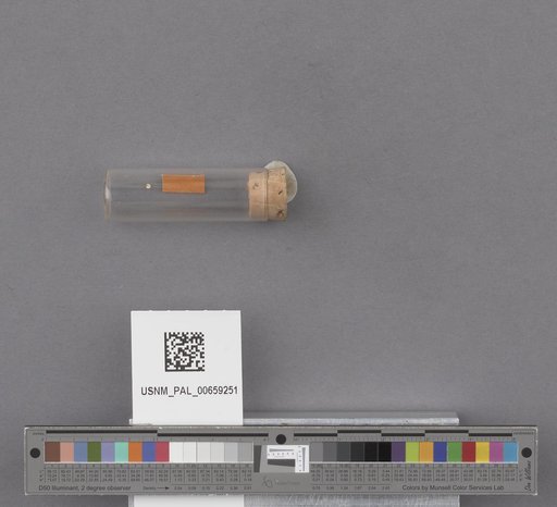 NSF ADBC EPICC TCN