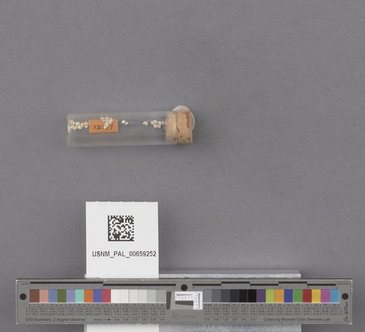 NSF ADBC EPICC TCN