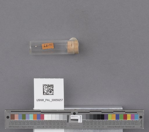 NSF ADBC EPICC TCN