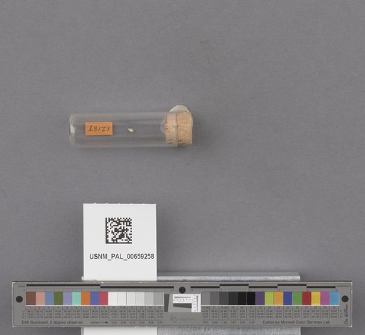 NSF ADBC EPICC TCN