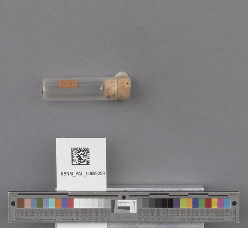 NSF ADBC EPICC TCN