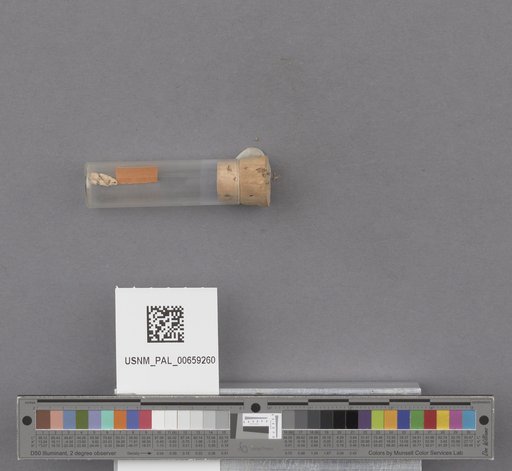 NSF ADBC EPICC TCN