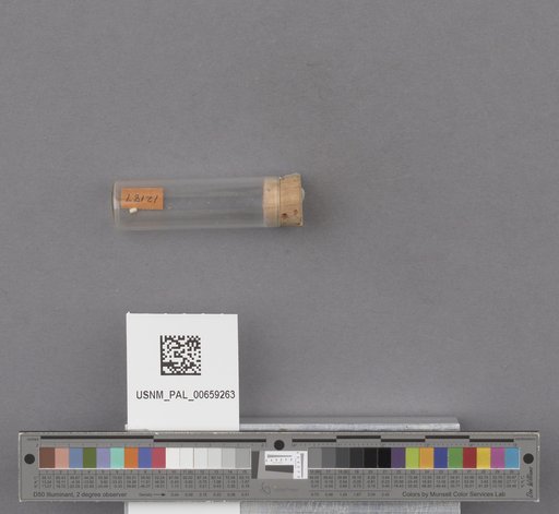 NSF ADBC EPICC TCN