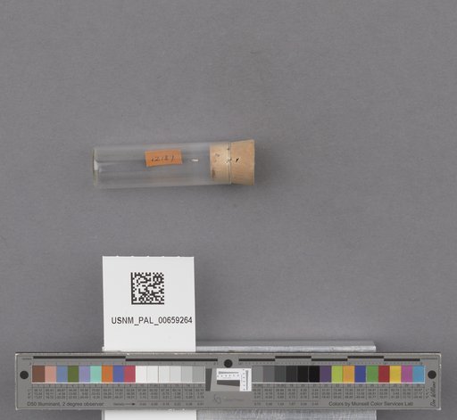NSF ADBC EPICC TCN