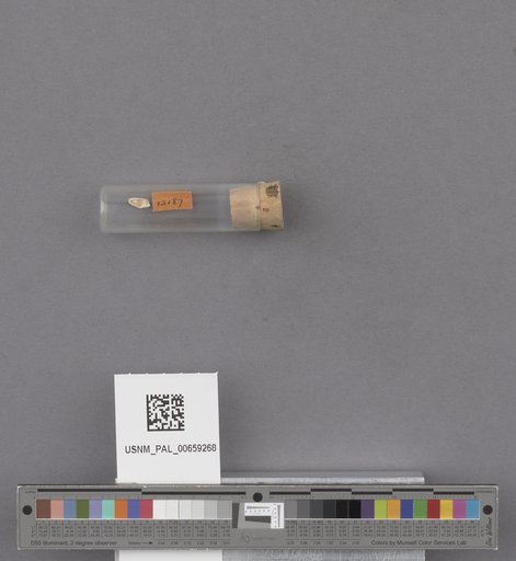 NSF ADBC EPICC TCN