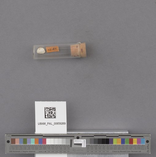 NSF ADBC EPICC TCN