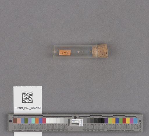 NSF ADBC EPICC TCN