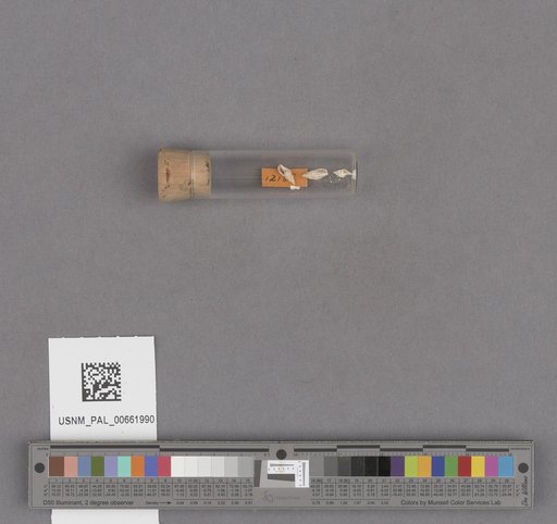 NSF ADBC EPICC TCN