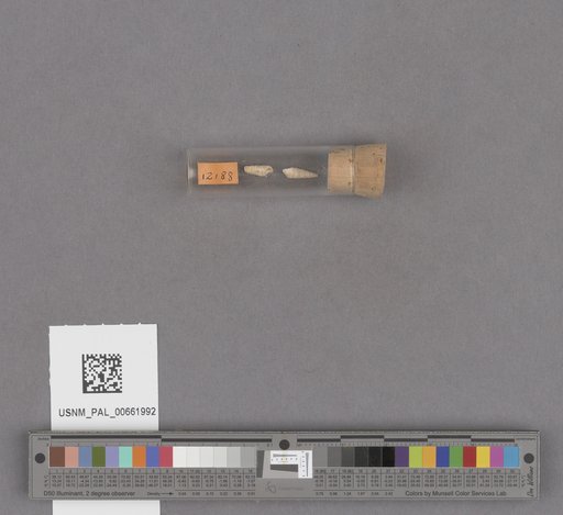 NSF ADBC EPICC TCN