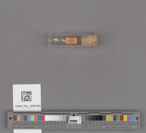 NSF ADBC EPICC TCN