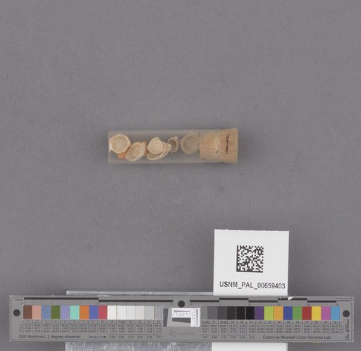 NSF ADBC EPICC TCN