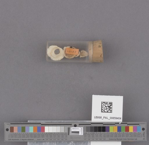 NSF ADBC EPICC TCN