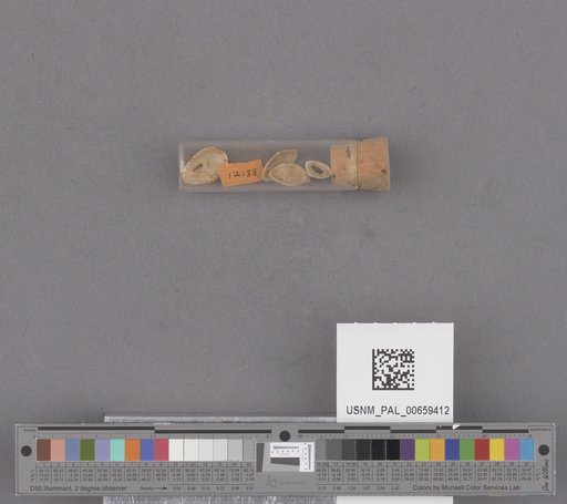 NSF ADBC EPICC TCN