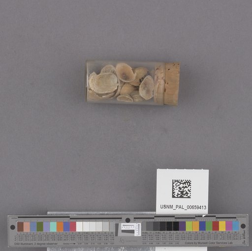 NSF ADBC EPICC TCN