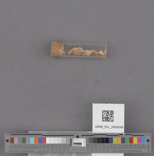 NSF ADBC EPICC TCN