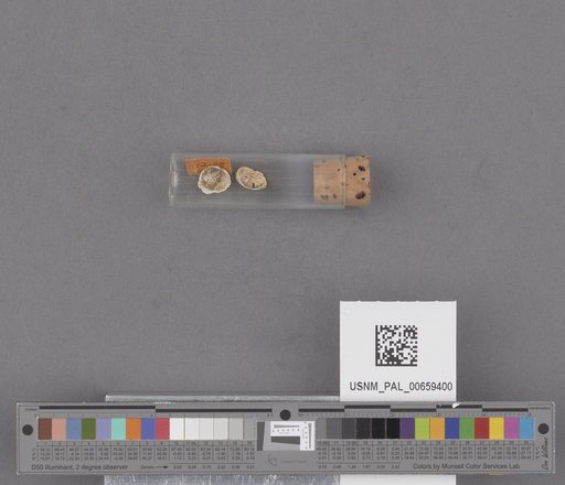 NSF ADBC EPICC TCN