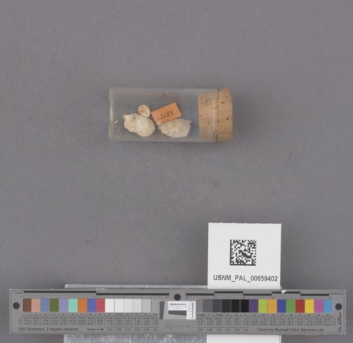 NSF ADBC EPICC TCN
