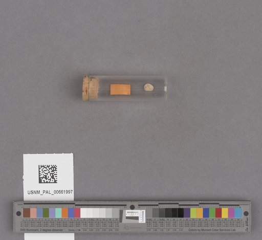 NSF ADBC EPICC TCN