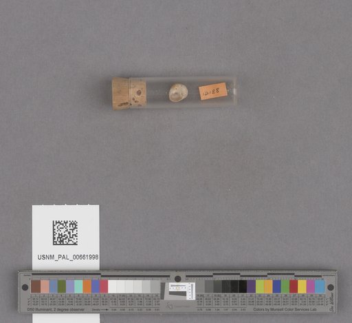NSF ADBC EPICC TCN