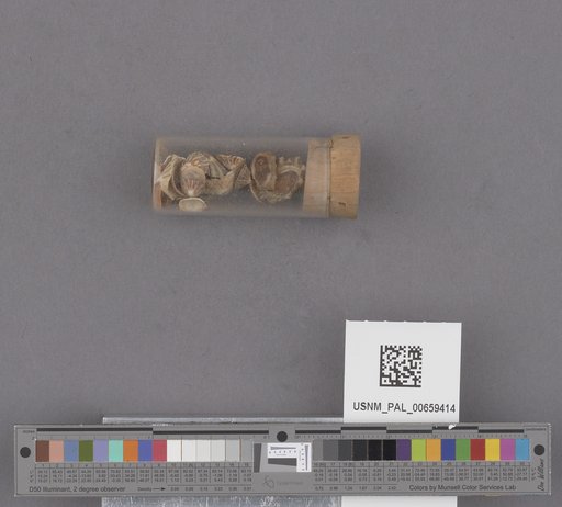 NSF ADBC EPICC TCN